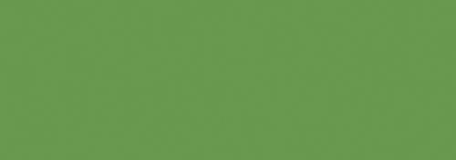 Dark Olive