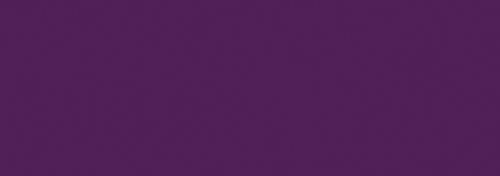 Dark Plum