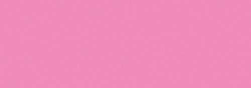 Pink Rose
