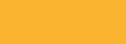 Neonorange