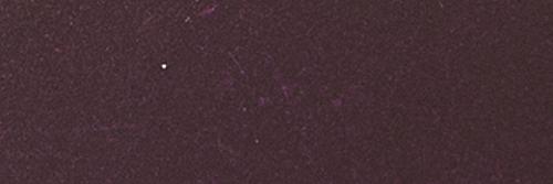 Rotviolett