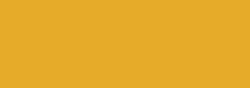 Helianthus