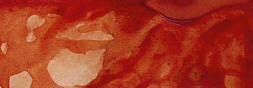 Burnt Sienna