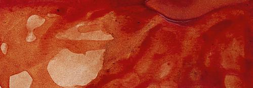 Burnt Sienna