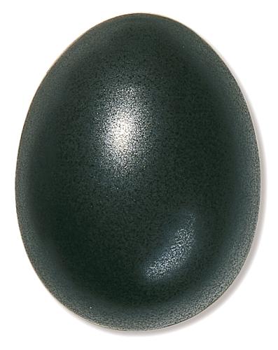 Magica
