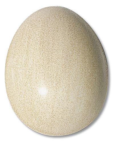Sandstone