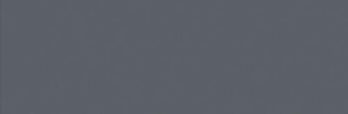 Cool Gray 10