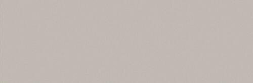 Warm Gray 2