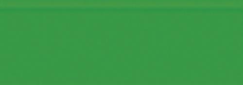Pine Tree Green