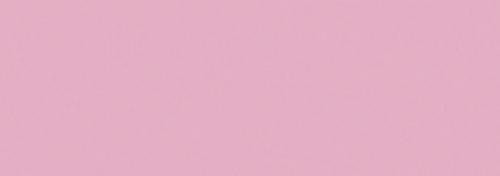 Salmon Pink