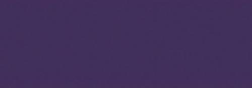 Argyle Purple