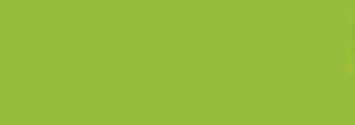 Acid Green