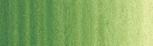 Terre Verte