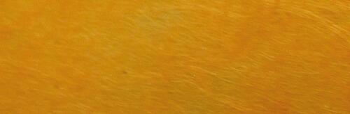 Goldorange