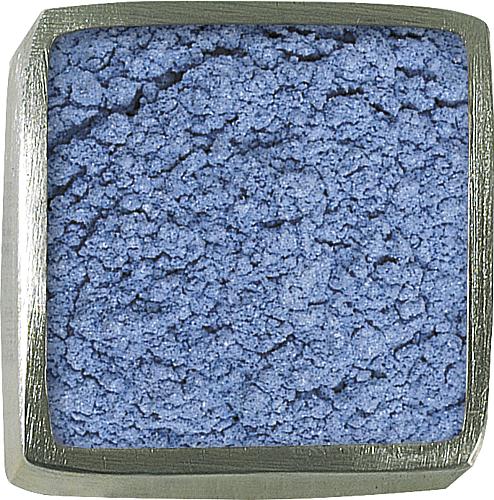 Libelle Blau