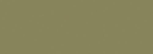 Olivgrün 1 (B)