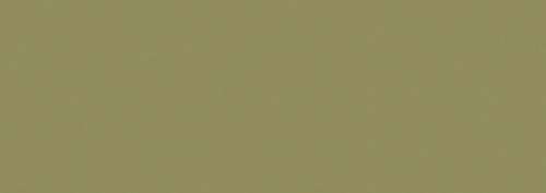 Olivgrün 1 (D)