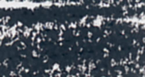 gris noir