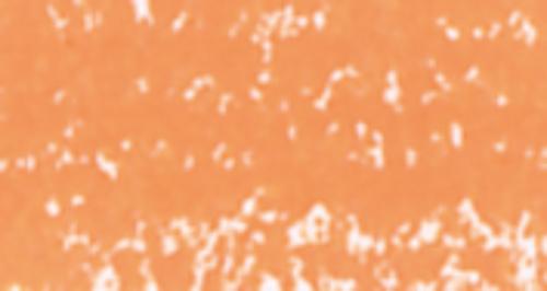 Aprikose