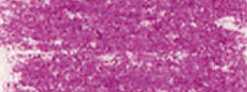 Dark Fuchsia