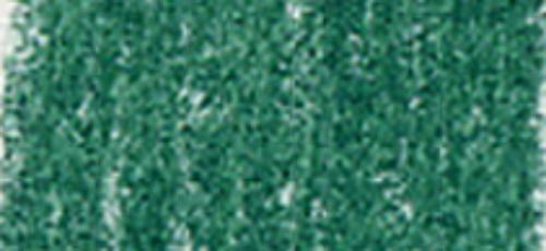 Shamrock