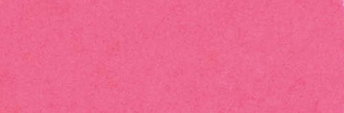 Vibrant Fuchsia