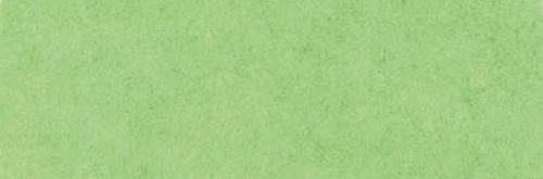 Vivid Chartreuse