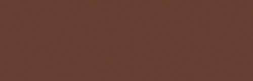 Cocoa Bean