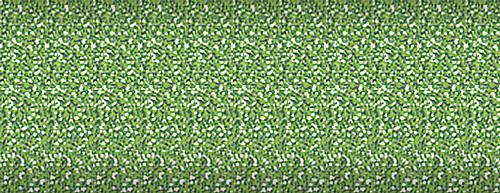 Glitter-Kiwi