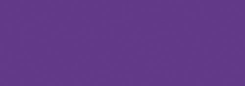 violet pourpre
