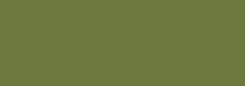 vert d'oxyde de chrome mat