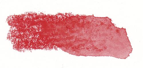 Rot