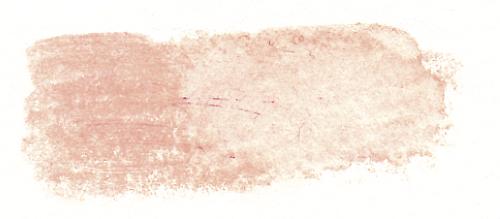 beige rose